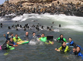 el camotal el camotal