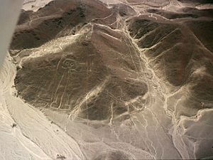 nazca