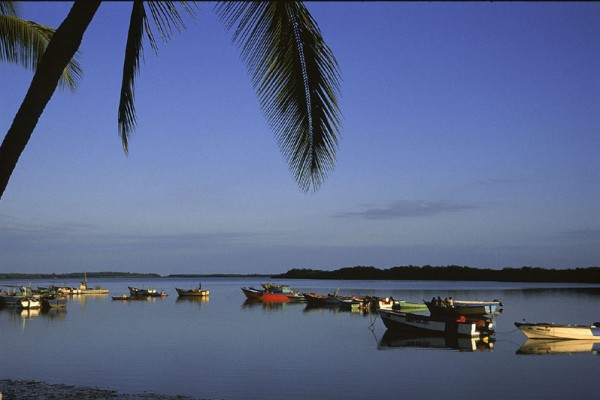 Aguas tranquilas, variada fauna y vegetación son entre otras cosas las maravillas de Puerto Pizarro