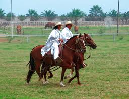 caballo