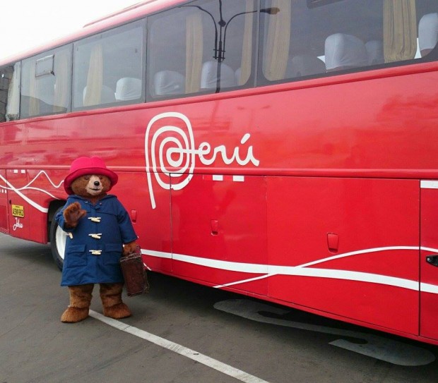 Paddington durante su regreso al Perú