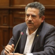Merino1