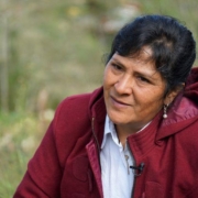 Lilia-Paredes