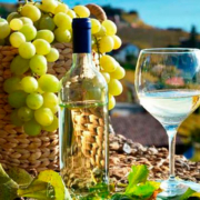 el-pisco-es-peru